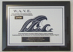 [shiny plaque]